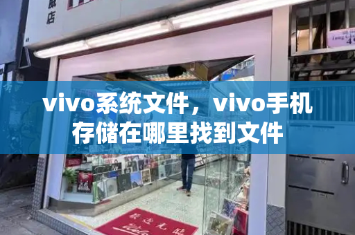 vivo系统文件，vivo手机存储在哪里找到文件