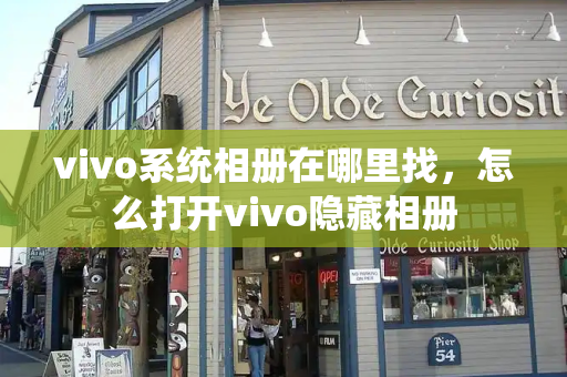 vivo系统相册在哪里找，怎么打开vivo隐藏相册-第1张图片-星选测评