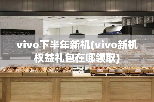 vivo下半年新机(vivo新机权益礼包在哪领取)