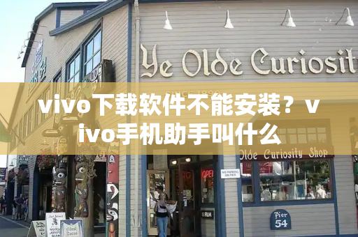 vivo下载软件不能安装？vivo手机助手叫什么