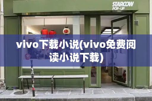 vivo下载小说(vivo免费阅读小说下载)