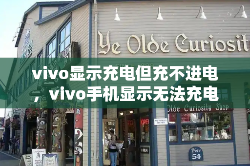 vivo显示充电但充不进电，vivo手机显示无法充电-第1张图片-星选测评