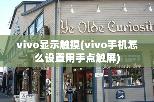 vivo显示触摸(vivo手机怎么设置用手点触屏)-第1张图片-星选测评