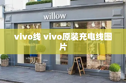 vivo线 vivo原装充电线图片