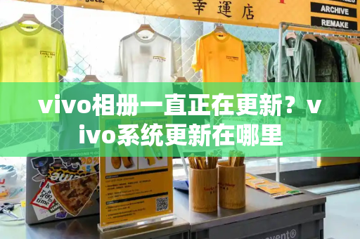 vivo相册一直正在更新？vivo系统更新在哪里-第1张图片-星选测评