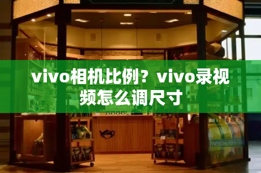 vivo相机比例？vivo录视频怎么调尺寸
