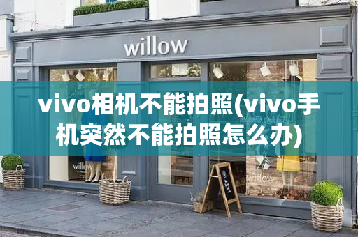 vivo相机不能拍照(vivo手机突然不能拍照怎么办)