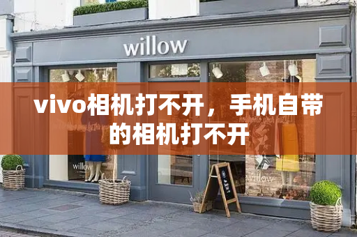 vivo相机打不开，手机自带的相机打不开