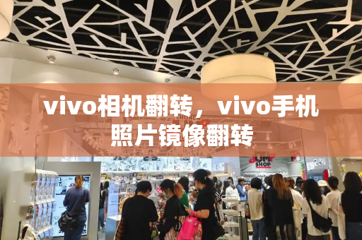vivo相机翻转，vivo手机照片镜像翻转-第1张图片-星选测评