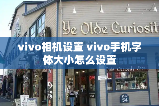 vivo相机设置 vivo手机字体大小怎么设置