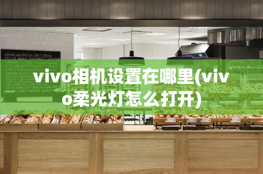 vivo相机设置在哪里(vivo柔光灯怎么打开)