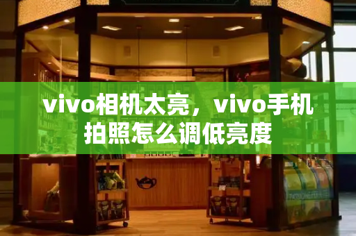 vivo相机太亮，vivo手机拍照怎么调低亮度-第1张图片-星选测评