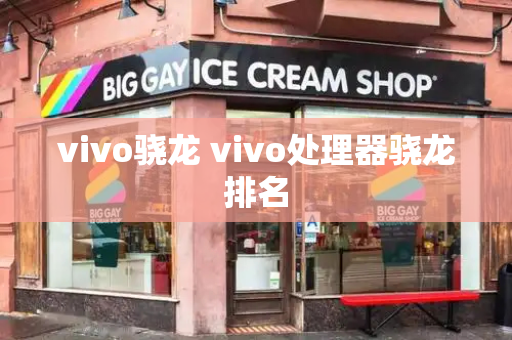 vivo骁龙 vivo处理器骁龙排名