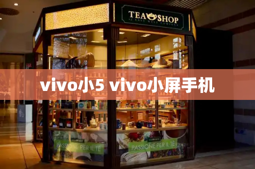vivo小5 vivo小屏手机