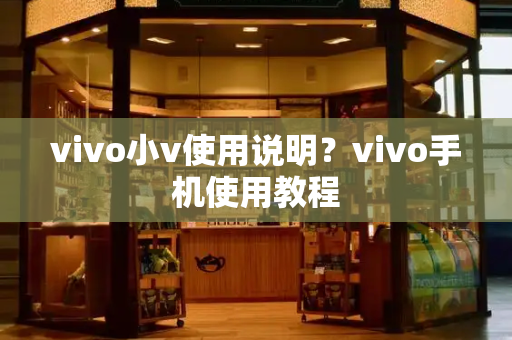 vivo小v使用说明？vivo手机使用教程