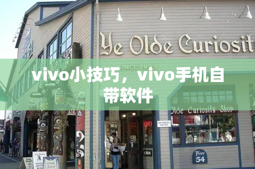 vivo小技巧，vivo手机自带软件-第1张图片-星选测评