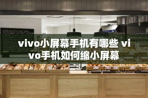 vivo小屏幕手机有哪些 vivo手机如何缩小屏幕-第1张图片-星选测评
