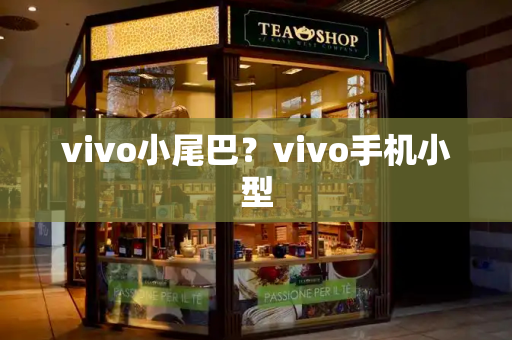 vivo小尾巴？vivo手机小型