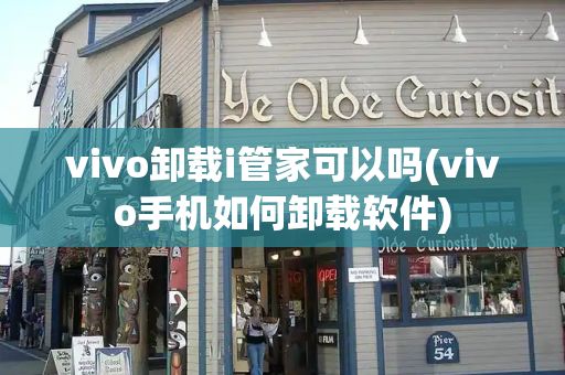 vivo卸载i管家可以吗(vivo手机如何卸载软件)-第1张图片-星选测评