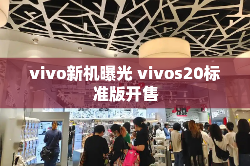 vivo新机曝光 vivos20标准版开售-第1张图片-星选测评