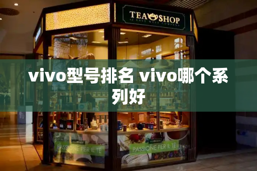 vivo型号排名 vivo哪个系列好-第1张图片-星选测评