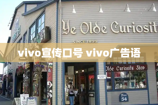 vivo宣传口号 vivo广告语-第1张图片-星选测评