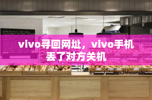 vivo寻回网址，vivo手机丢了对方关机