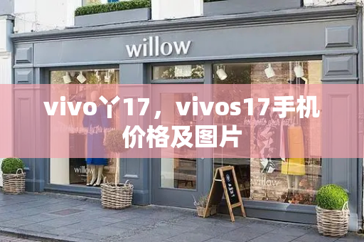 vivo丫17，vivos17手机价格及图片