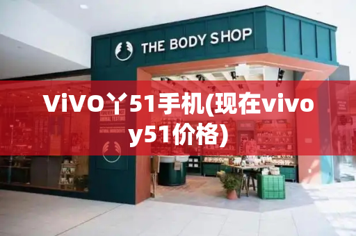 ViVO丫51手机(现在vivoy51价格)-第1张图片-星选测评