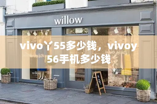 vivo丫55多少钱，vivoy56手机多少钱
