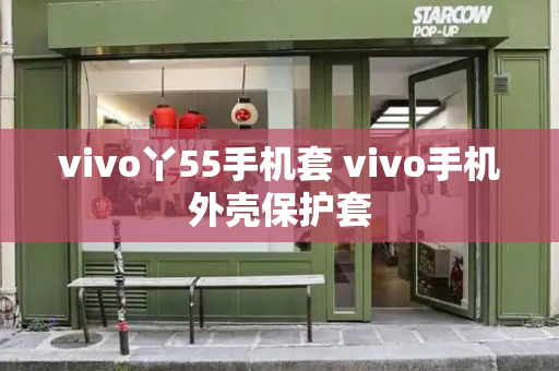 vivo丫55手机套 vivo手机外壳保护套-第1张图片-星选测评