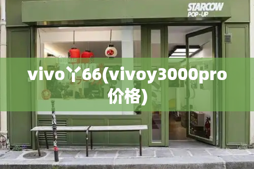 vivo丫66(vivoy3000pro价格)
