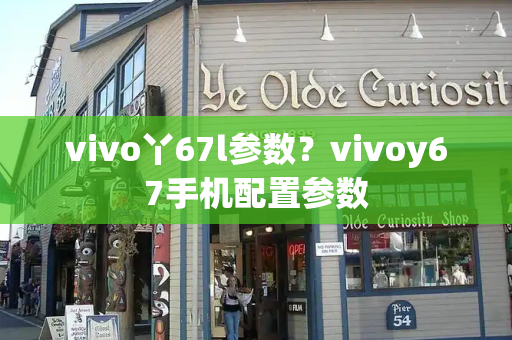 vivo丫67l参数？vivoy67手机配置参数-第1张图片-星选测评