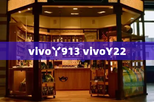 vivo丫913 vivoY22-第1张图片-星选测评