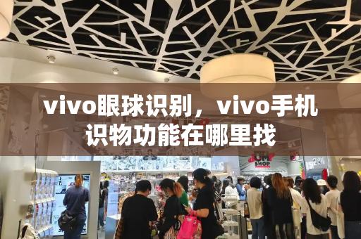 vivo眼球识别，vivo手机识物功能在哪里找