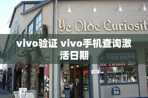 vivo验证 vivo手机查询激活日期-第1张图片-星选测评