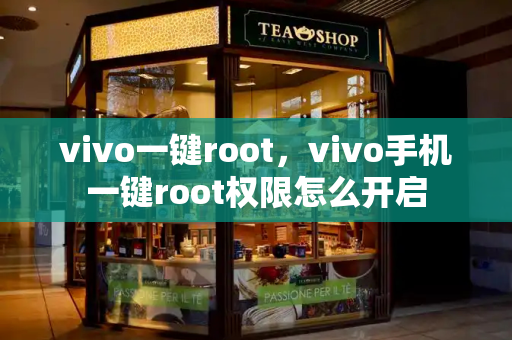 vivo一键root，vivo手机一键root权限怎么开启-第1张图片-星选测评
