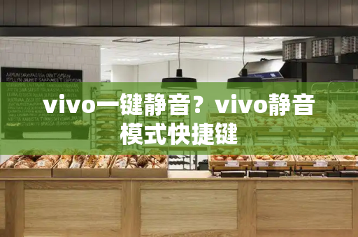 vivo一键静音？vivo静音模式快捷键-第1张图片-星选测评