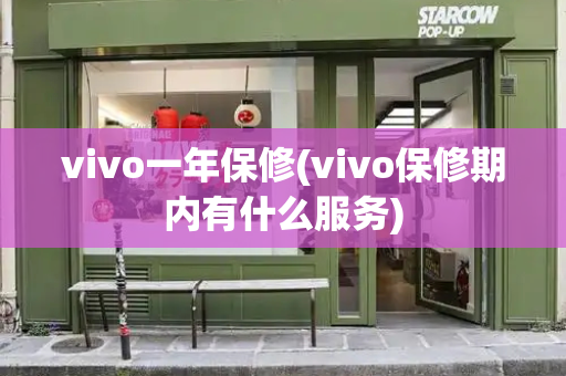 vivo一年保修(vivo保修期内有什么服务)