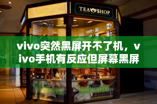 vivo突然黑屏开不了机，vivo手机有反应但屏幕黑屏-第1张图片-星选测评
