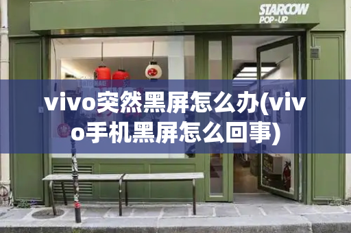 vivo突然黑屏怎么办(vivo手机黑屏怎么回事)-第1张图片-星选测评
