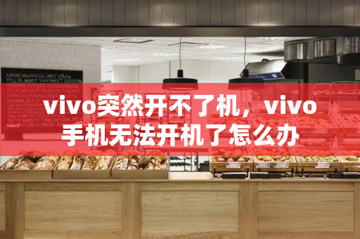 vivo突然开不了机，vivo手机无法开机了怎么办-第1张图片-星选测评