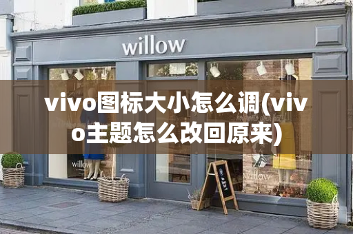 vivo图标大小怎么调(vivo主题怎么改回原来)