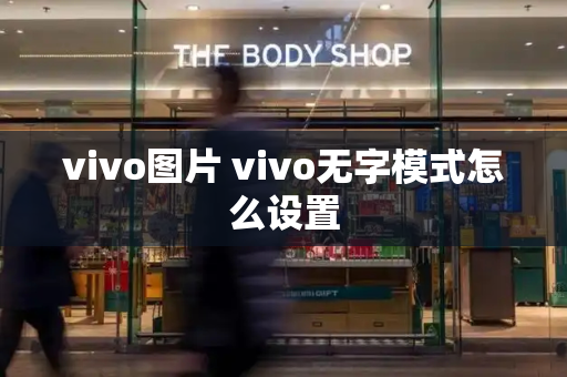 vivo图片 vivo无字模式怎么设置