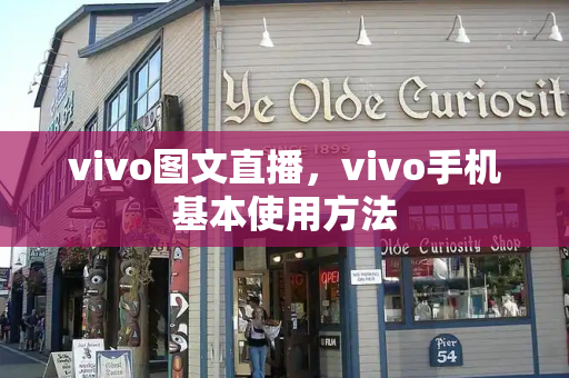 vivo图文直播，vivo手机基本使用方法
