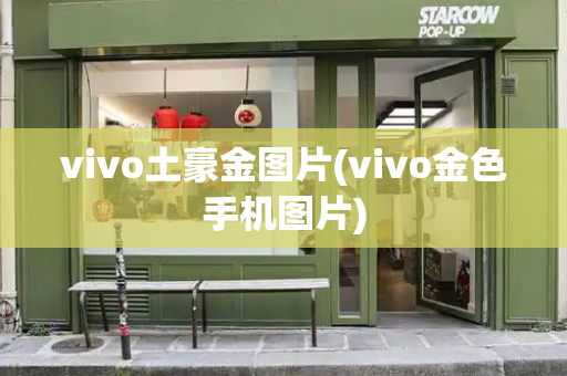 vivo土豪金图片(vivo金色手机图片)