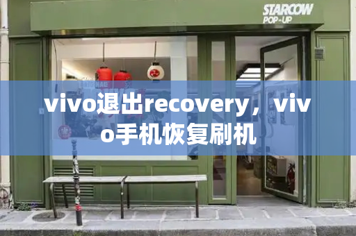 vivo退出recovery，vivo手机恢复刷机