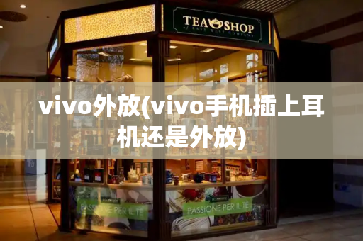 vivo外放(vivo手机插上耳机还是外放)-第1张图片-星选测评