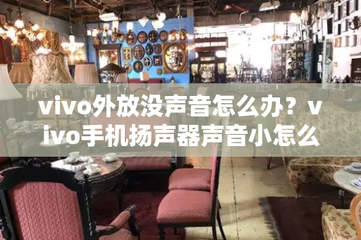 vivo外放没声音怎么办？vivo手机扬声器声音小怎么办-第1张图片-星选测评