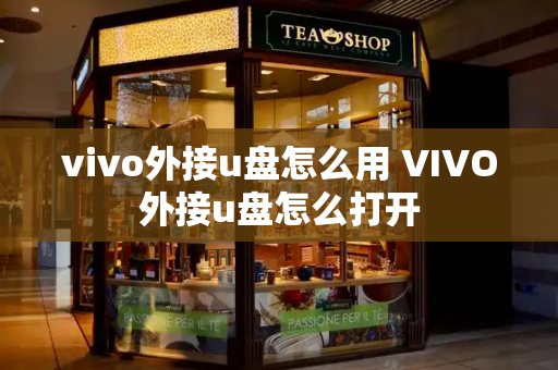 vivo外接u盘怎么用 VIVO外接u盘怎么打开